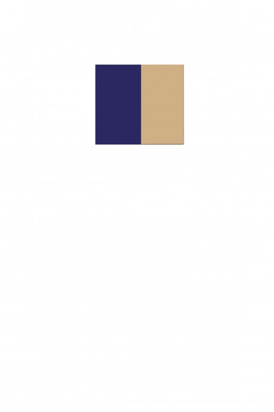 navy - beige